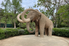 Mammoth at city park - life sized!