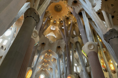 Sagrada Família, sacred forest