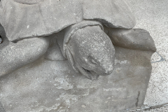 The turtle holding up Sagrada Família