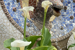 Park Güell mosaic and flowers