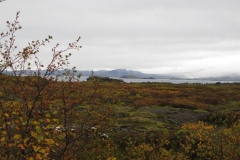 Þingvallavatn lake