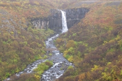 Svartifoss, Skaftafell National Park