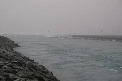 Jökulsárlón -- Safely Back On Land