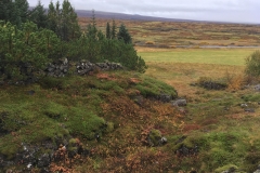 Þingvellir National Park