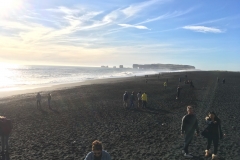 Reynisfjara Beach