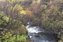 Rushing Waters, Skaftafell