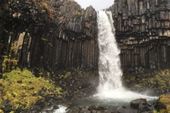 Svartifoss, Up Close