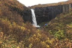Svartifoss, Farther Away
