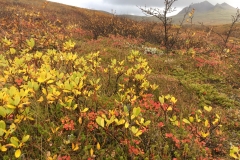 Peak Autumn, Iceland Style
