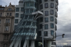 IMG_3141