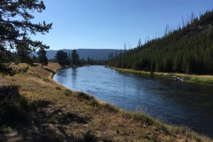 yellowstone- - 10