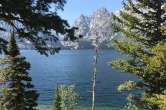 yellowstone- - 100