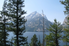 yellowstone- - 101