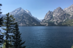 yellowstone- - 102