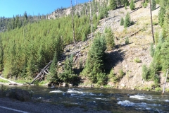 yellowstone- - 11