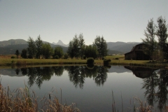 yellowstone- - 115