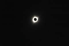 yellowstone- - 116