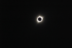 yellowstone- - 119