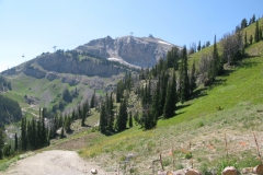 yellowstone- - 137
