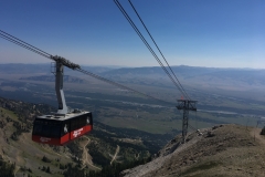 yellowstone- - 138
