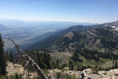 yellowstone- - 139