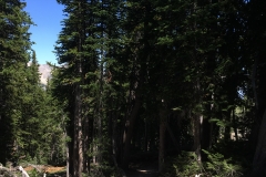 yellowstone- - 142