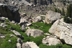 yellowstone- - 143