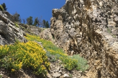 yellowstone- - 144