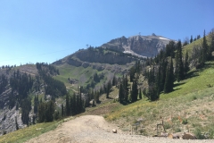 yellowstone- - 147