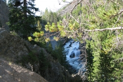 yellowstone- - 16