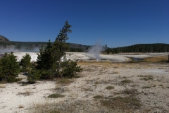 yellowstone- - 19