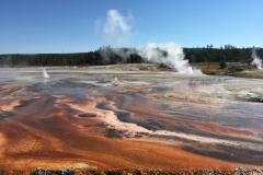 yellowstone- - 21