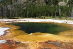 yellowstone- - 23