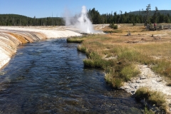 yellowstone- - 24