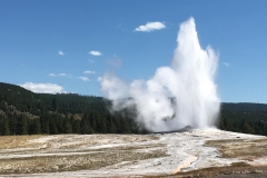 yellowstone- - 29
