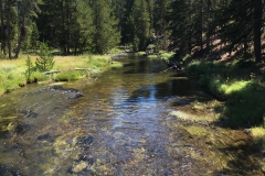 yellowstone- - 30