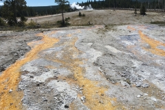 yellowstone- - 31