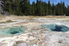 yellowstone- - 32