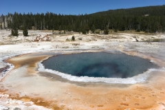 yellowstone- - 33