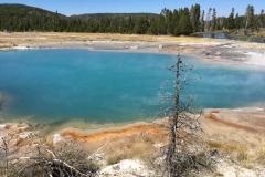 yellowstone- - 35