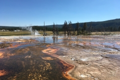 yellowstone- - 36