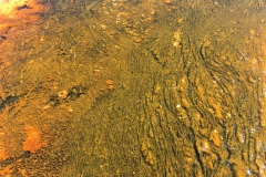 yellowstone- - 37