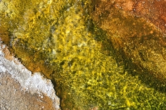 yellowstone- - 39