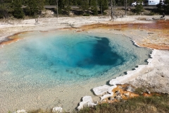 yellowstone- - 40