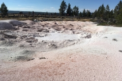 yellowstone- - 41