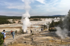 yellowstone- - 45