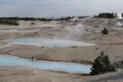 yellowstone- - 48