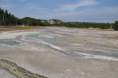 yellowstone- - 49