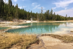 yellowstone- - 54