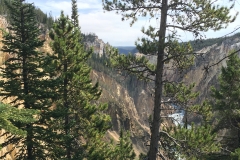 yellowstone- - 55